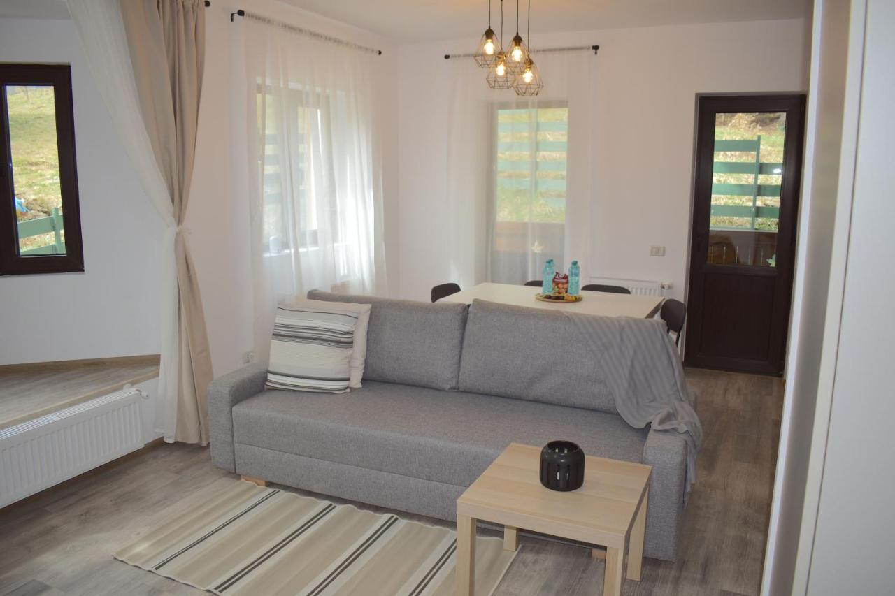 Cosy&Minimalistic Apartments - Haret Building Sinaia Extérieur photo