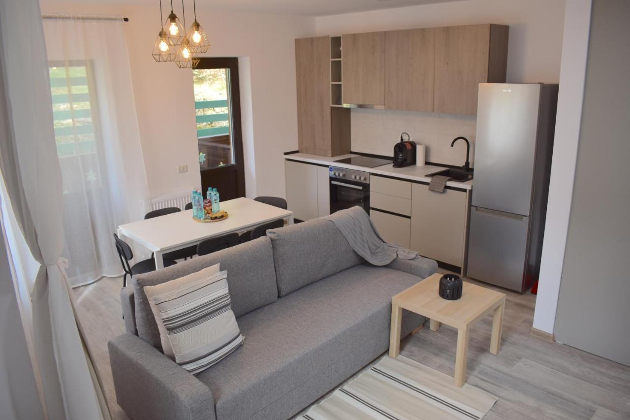 Cosy&Minimalistic Apartments - Haret Building Sinaia Extérieur photo