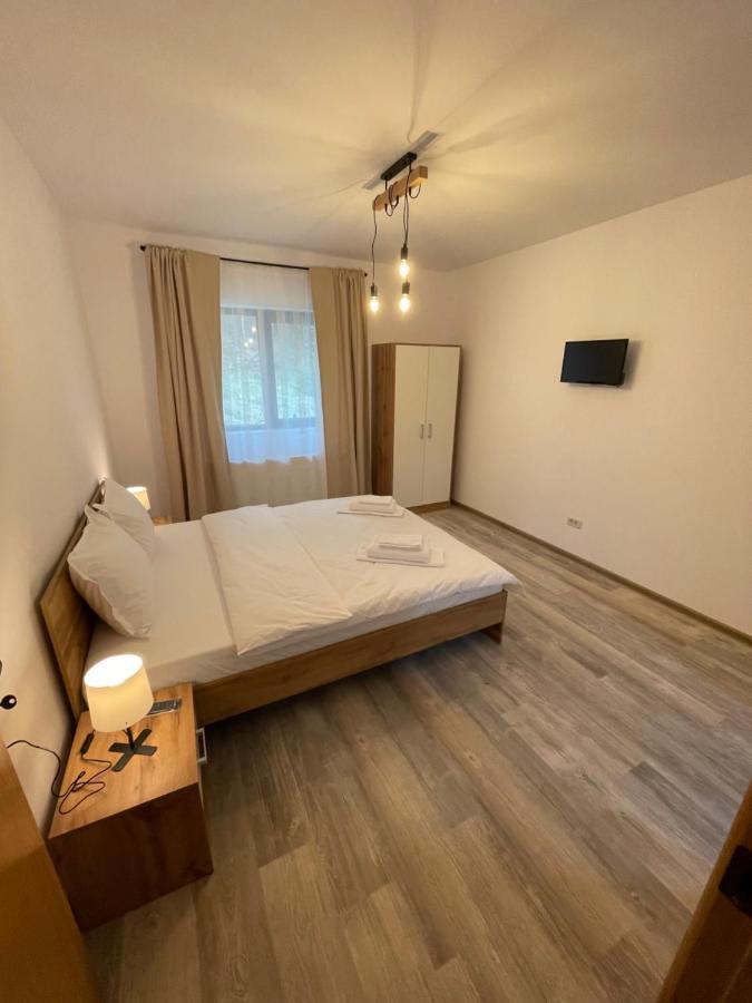 Cosy&Minimalistic Apartments - Haret Building Sinaia Extérieur photo