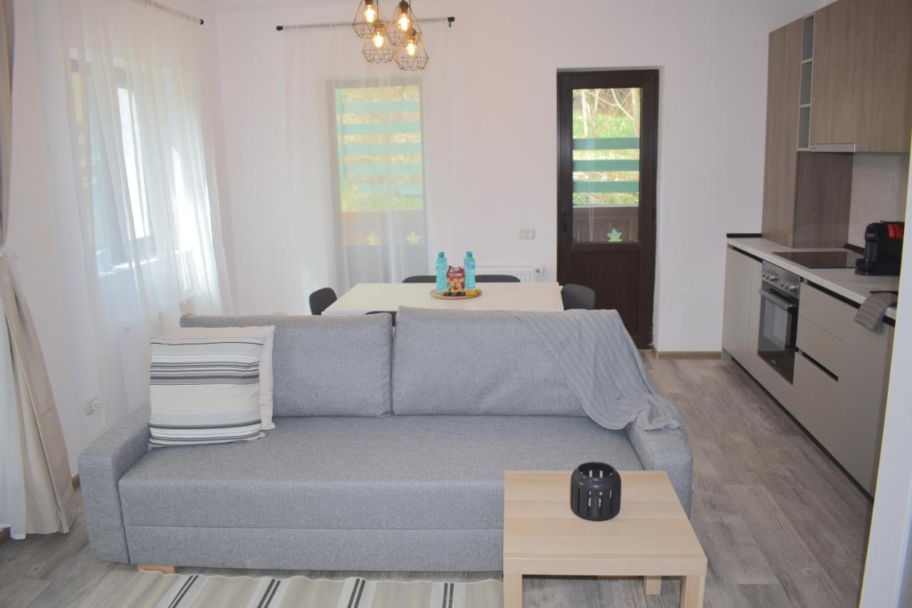 Cosy&Minimalistic Apartments - Haret Building Sinaia Extérieur photo