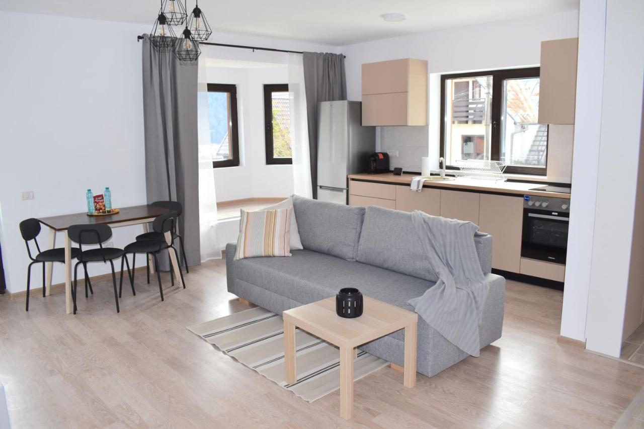 Cosy&Minimalistic Apartments - Haret Building Sinaia Extérieur photo